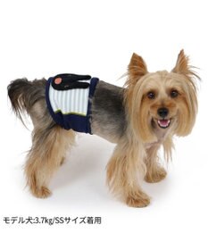 PET PARADISE リサとガスパール マナーベルト 《ガスパール》 小型犬