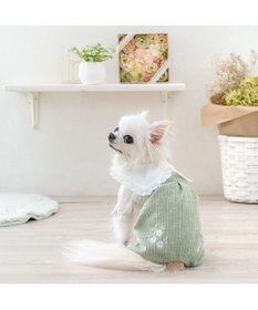 PET PARADISE ペットパラダイス ナチュラル パンツつなぎ 《小花 》 小型犬