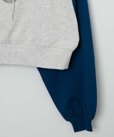 WEGO ラグランショートパーカー