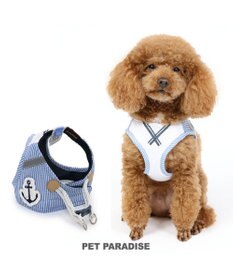 PET PARADISE 犬 ハーネス メッシュ ベスト ハーネス 【Ｓ】 小花柄／マリン
