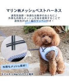 PET PARADISE 犬 ハーネス メッシュ ベスト ハーネス 【Ｓ】 小花柄／マリン