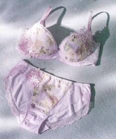 Wing Wing Lesiage　【2810シリーズ】　ブラジャー　ふっくらまる胸メイク　背中の段差軽減　ウイング／ワコール　PB2810