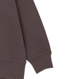 AMERICAN HOLIC アソートカレッジロゴ裏毛プルオーバー