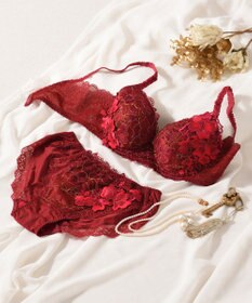 Wing Wing Lesiage　【2780シリーズ】　ブラジャー　ふっくらまる胸　総レース　ウイング／ワコール　PB2780