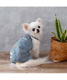 PET PARADISE Lee ヒッコリー オーバーオール  小型犬