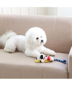 PET PARADISE スヌーピー サーフ トイ