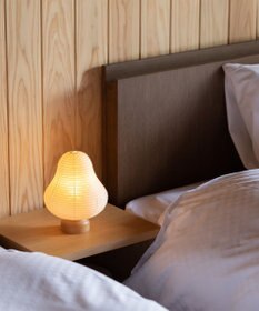 ちょうちん堂 【cocolan Muji】山 ちょうちん ライト