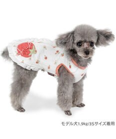 PET PARADISE ペットパラダイス ふわりと キルトベスト 《いちご》 超小型犬 小型犬