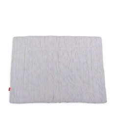 PET PARADISE リサとガスパール もちっと クール ブランケット