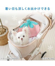 PET PARADISE ペットパラダイス クール枕 《苺》