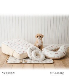 PET PARADISE ペットパラダイス makokoro スリット 靴下 《ボーダー》 ３Ｓ 小型犬