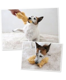 PET PARADISE スヌーピー ウッドストック うたたねトイ