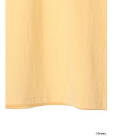 earth music&ecology Ｄｉｓｎｅｙ／袖ダイナロンＴ