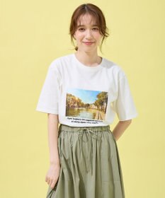 ANY オーガビッツアソートプリントTシャツ