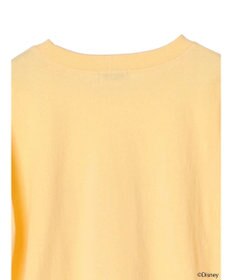 earth music&ecology Ｄｉｓｎｅｙ／袖ダイナロンＴ