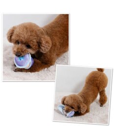 PET PARADISE ディズニー ヤングオイスター キラキラ  トイ