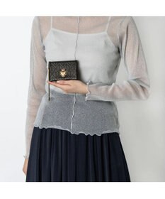 ANNA SUI ドリーミー 二面パスケース