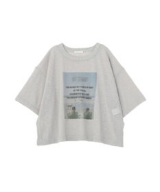 Green Parks フォトニットプルオーバー