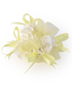 Chacott シュシュ