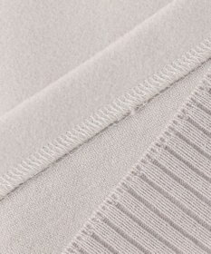 J.PRESS LADIES L ニードルパンチ ハイネック カットソー