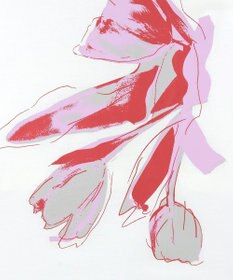 Paul Smith Drawn Tulip バック リボン カットソー