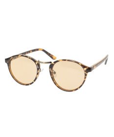 AMERICAN HOLIC コンビボストングラス（調光・偏光レンズ）