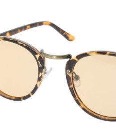 AMERICAN HOLIC コンビボストングラス（調光・偏光レンズ）