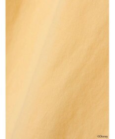 earth music&ecology Ｄｉｓｎｅｙ／袖ダイナロンＴ