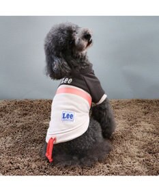 PET PARADISE Ｌｅｅスウェット トレーナー 【小型犬】 グレー