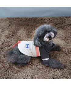 PET PARADISE Ｌｅｅスウェット トレーナー 【小型犬】 グレー