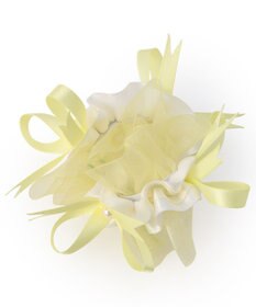 Chacott シュシュ