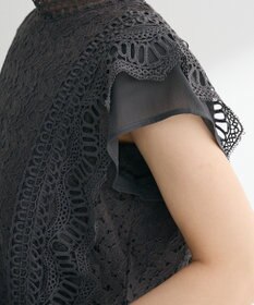 Green Parks ・Ｐｅｔｉｔ　Ｆｌｅｕｒ　フレンチレーシーブラウス