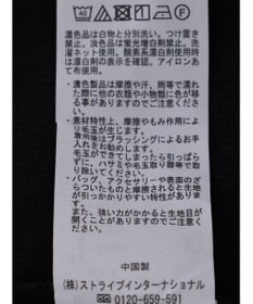 Green Parks ２ｗａｙレーステレコタンク