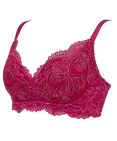 BRADELIS New York 【BRADELIS New York】　ノンワイヤーブラ26A1 ブラデリス 補正下着 補整 ブラジャー