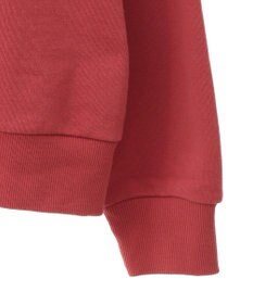 Green Parks トイストーリー／ピザフロッキープルオーバー