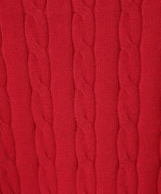 AMERICAN HOLIC バイパチケーブルニットプルオーバー