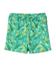 Green Parks ｍｅ　Ｊａｎｅ／プリントショートパンツ