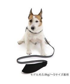 PET PARADISE 両面反射リード ブラック 120cm【ＳＳ~Ｓ】