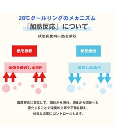 PET PARADISE ペットパラダイス 28℃ クールリング 【ＳＳ】 《 水色 / ベージュ》