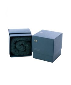 PRESENTERS ROOM 100（HYAKU） / 今治バスタオル グリーン