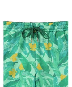 Green Parks ｍｅ　Ｊａｎｅ／プリントショートパンツ