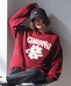 WEGO 【ユニセックス着用ITEM/MLサイズ展開/25年秋冬新作】ファジーグラフィックプルオーバー