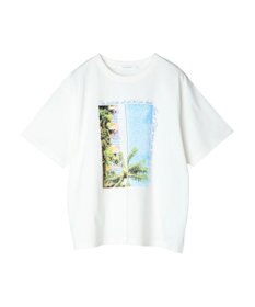 AMERICAN HOLIC Ｉｎ　ｔｈｅ　Ｗａｔｅｒ　Ｐｈｏｔｏ　Ｔｅｅ