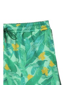 Green Parks ｍｅ　Ｊａｎｅ／プリントショートパンツ