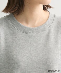 Green Parks トイストーリー／ピザフロッキープルオーバー