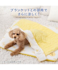 PET PARADISE ディズニー プルート もちっと クールマット