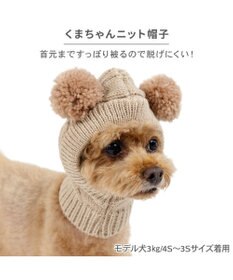PET PARADISE ペットパラダイス くまちゃん ニット 帽子 小型犬