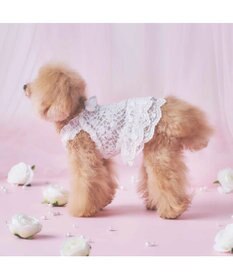 PET PARADISE cherircouture 総レース キャミソール 小型犬