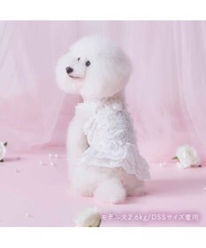 PET PARADISE cherircouture 総レース キャミソール 小型犬