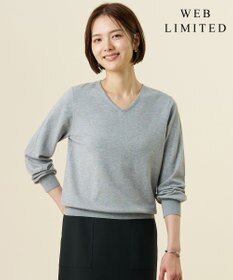 J.PRESS LADIES S 【WEB限定・人気定番アイテム・シーンレスに活躍】PRINCE Vネック ニット